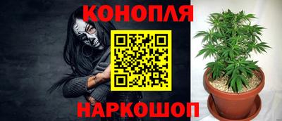 Альфа ПВП Новокубанск