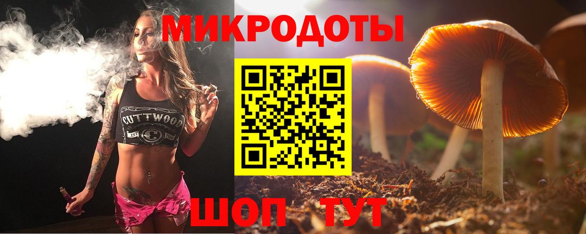 Псилоцибиновые грибы GOLDEN TEACHER Ефремов