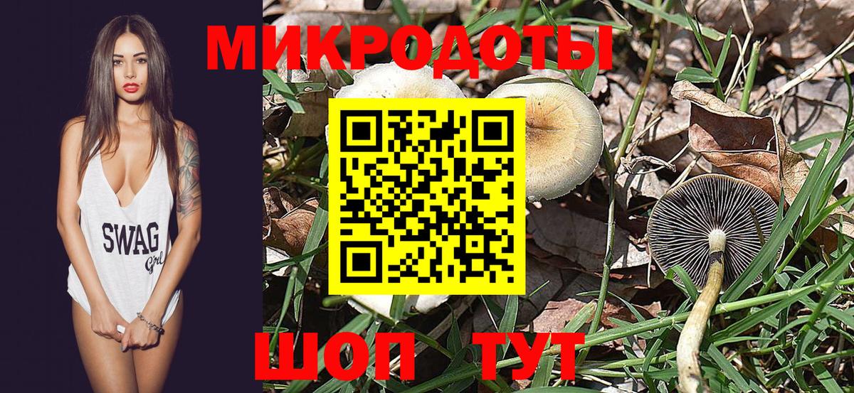 Ефремов  Псилоцибиновые грибы Cubensis  Вход с VPN  Галлюциногенные грибы Cubensis 